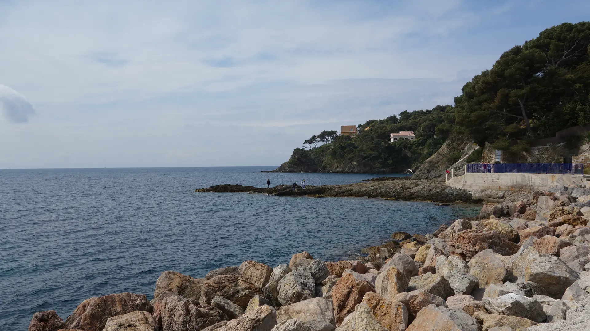 Le port du Niel à Giens