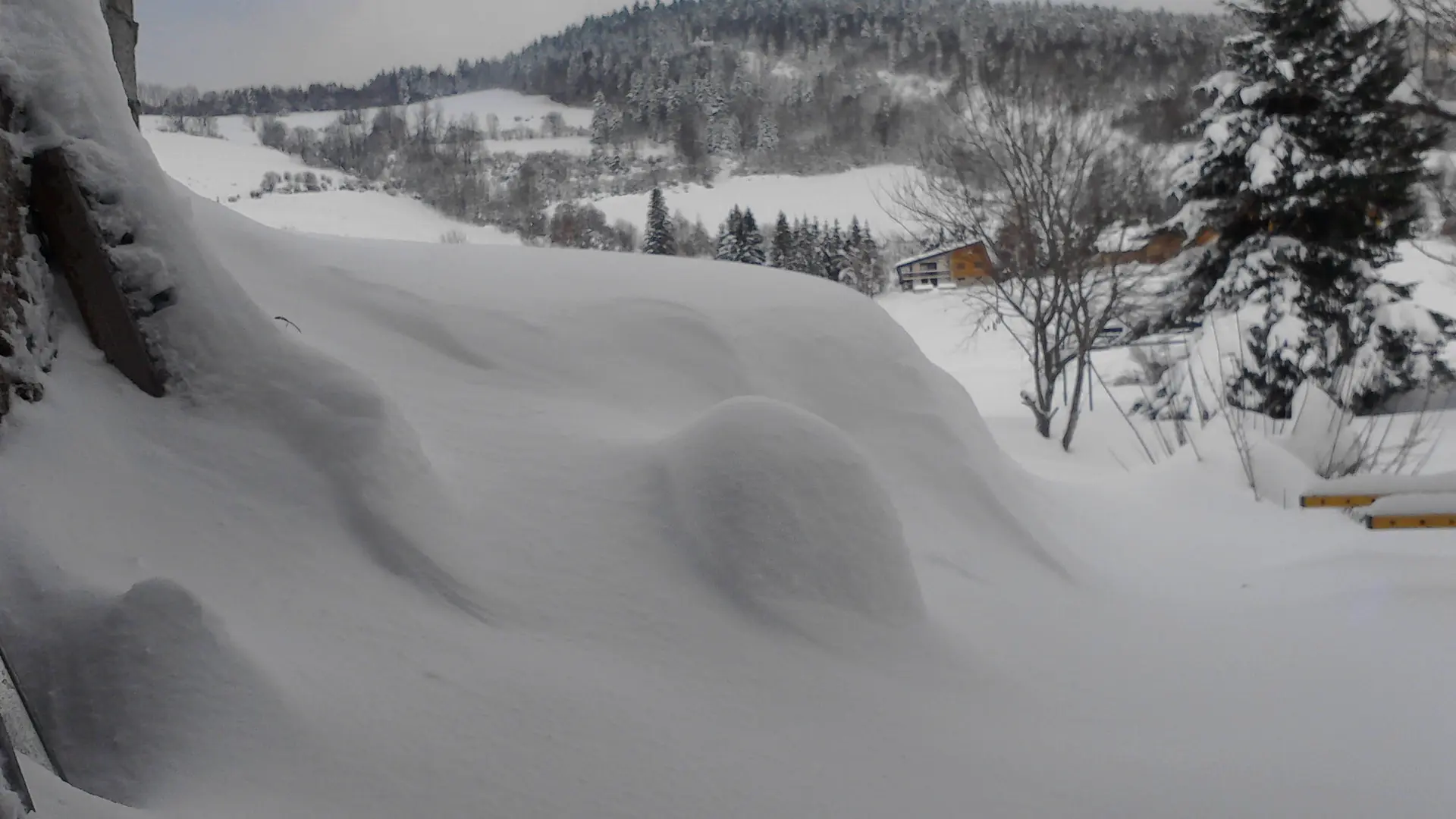 Parc en hiver