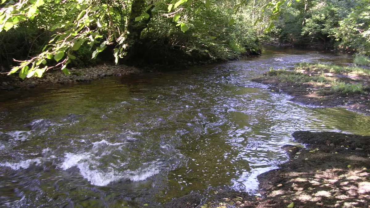 La Besbre au pont Clavel