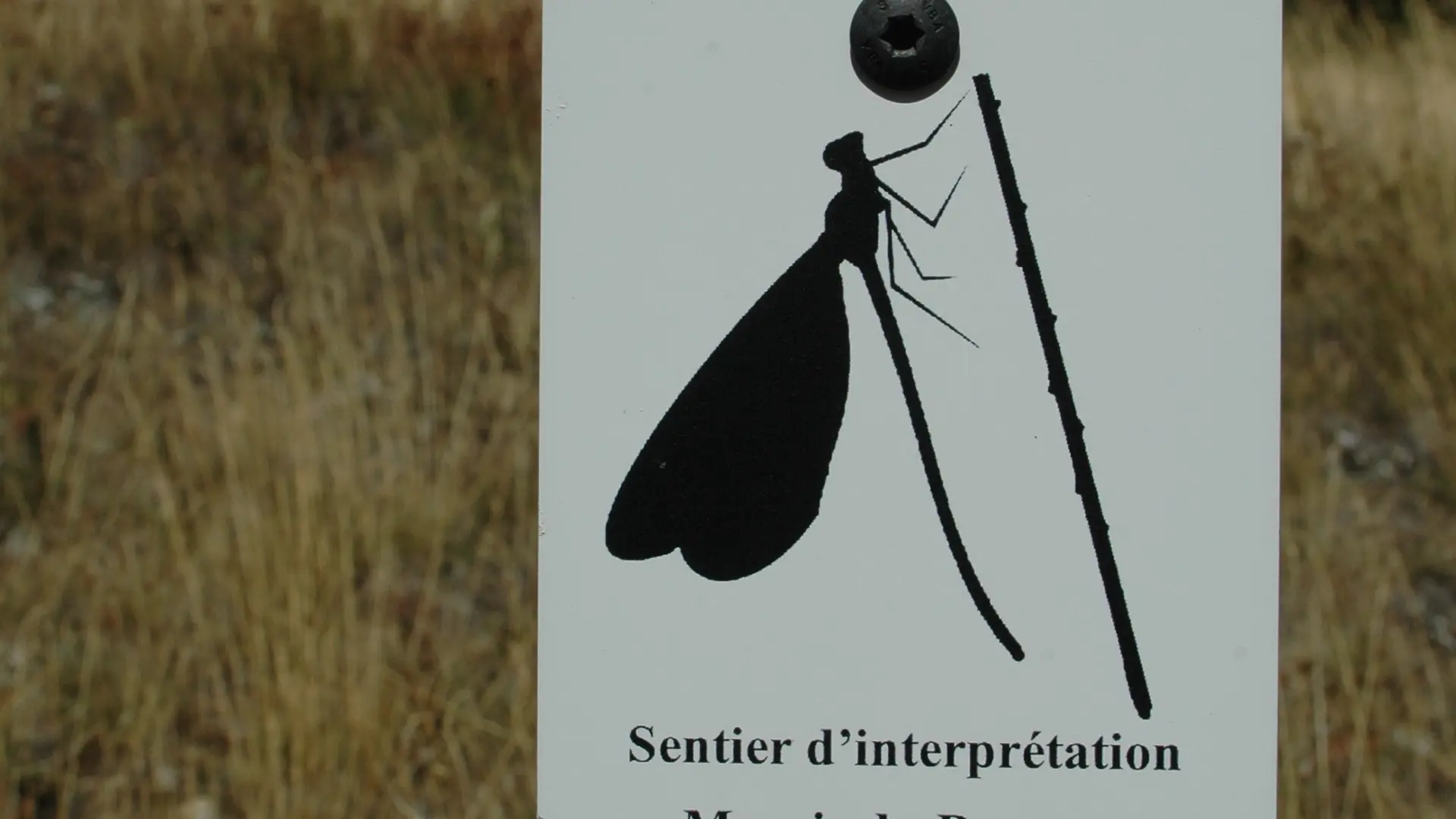Sentier d'interprétation du marais du Bourget