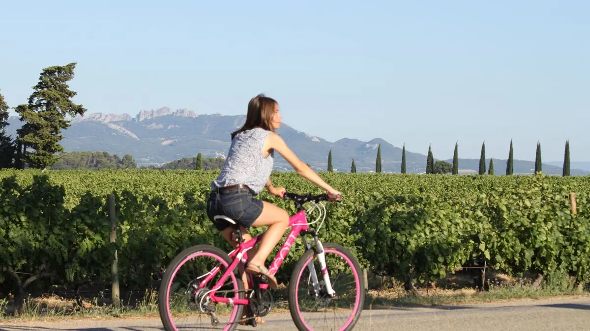Vélo Cotes du rhone