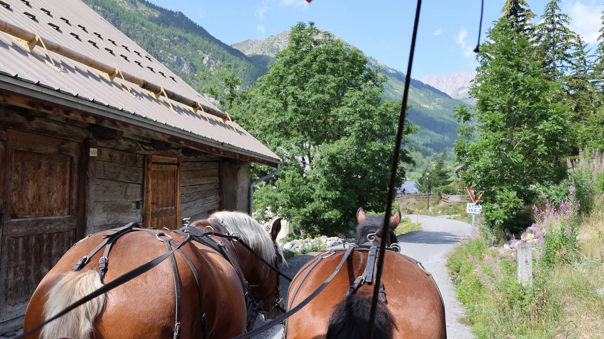 Découvrez le village de Névache avec la balade commentée en caleche
