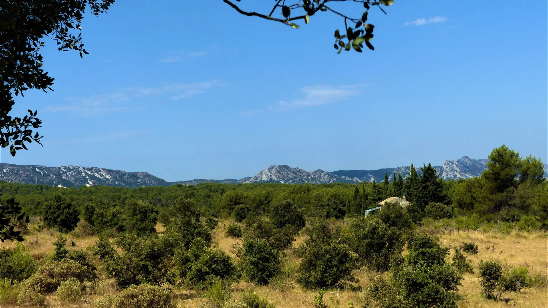 Paysage provençal