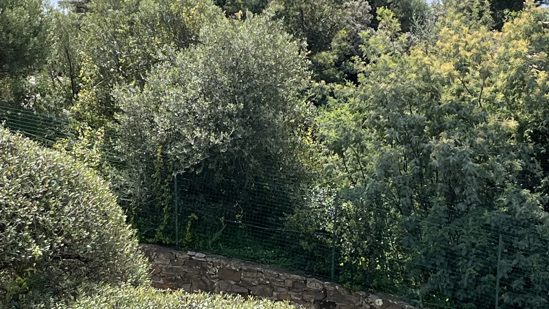 Vue de la terrasse