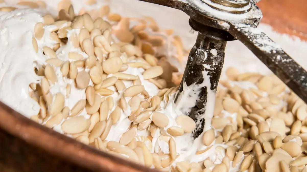 Hilios Tours : Journée sur-mesure_Bandol