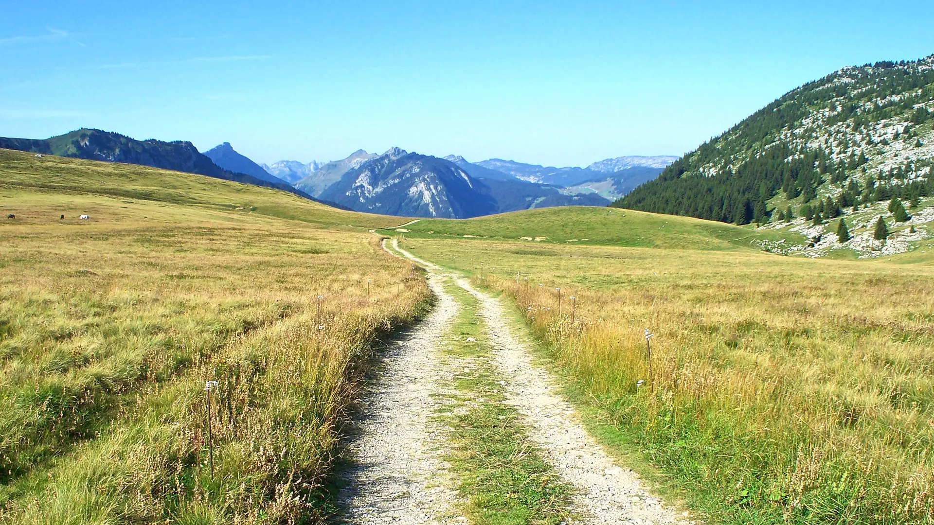 Sentier