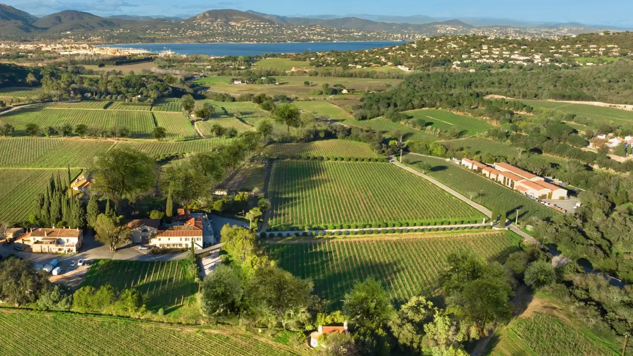 Vue aérienne des vignes du château minuty