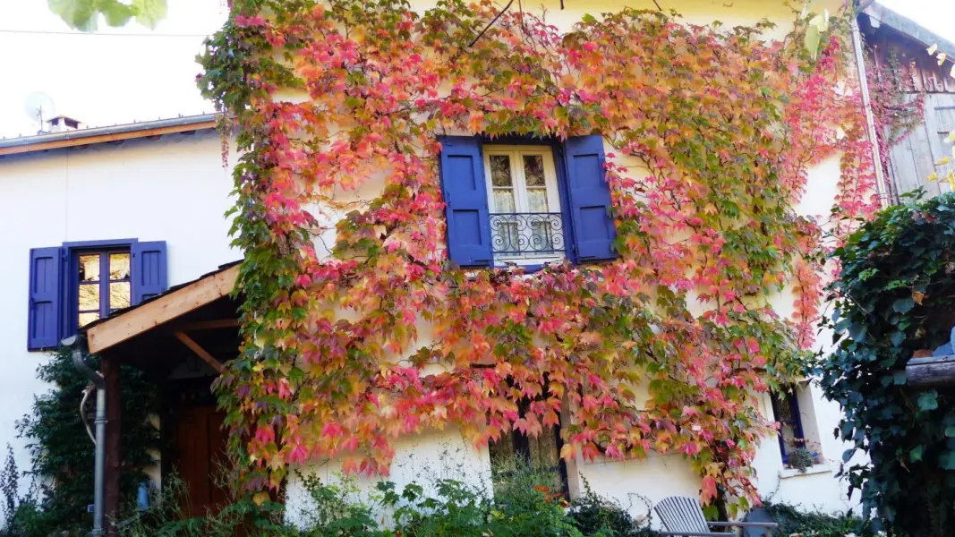 gîte en automne