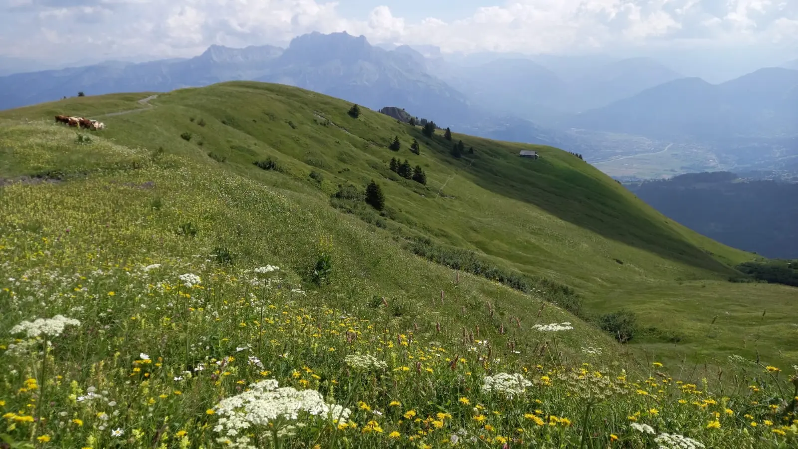Vue depuis la cabane du Petit Pâtre