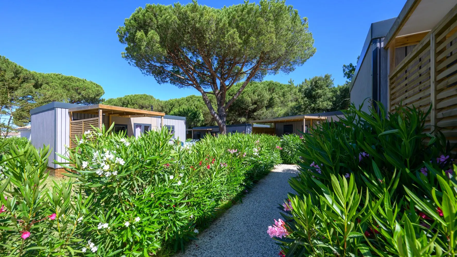 Allée des mobil-homes