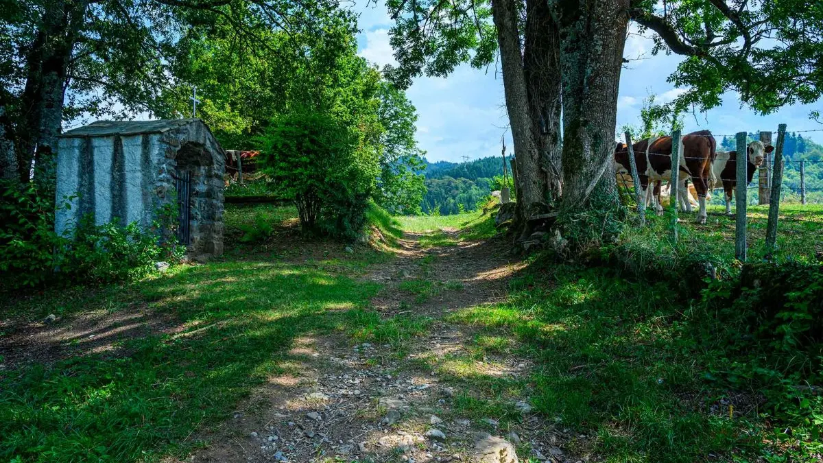 Châtillon sur Cluses