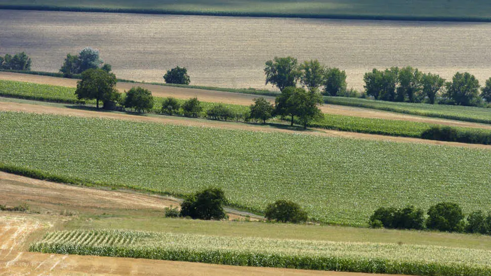 Plaine de la Limagne