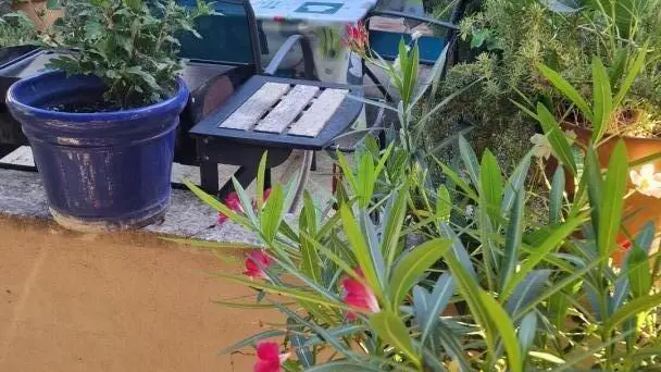Terrasse plein sud