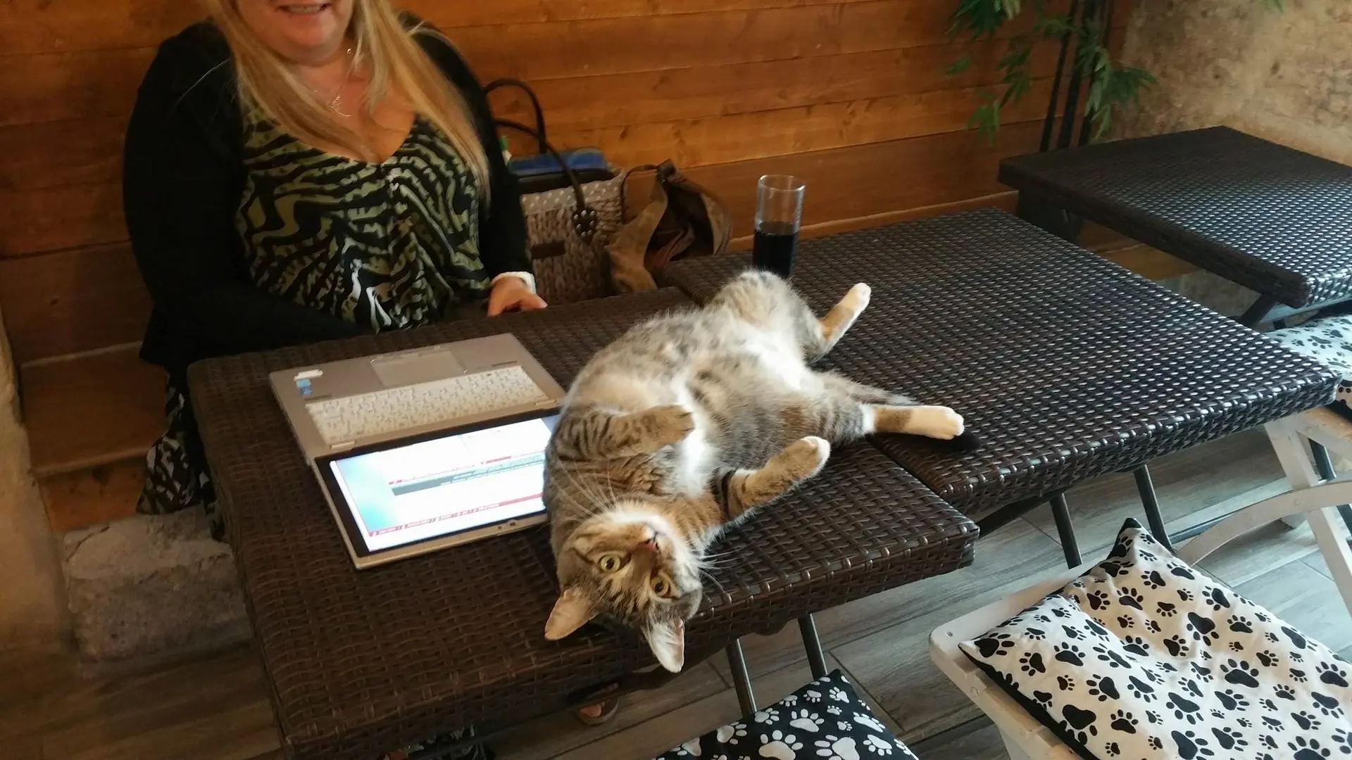 La Compagnie des Chats