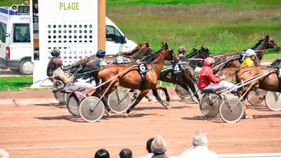 Courses de trot attelé à l'hippodrome de Châtelaillon-Plage