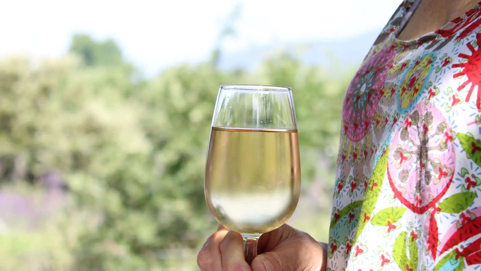 La Provence en Bouteille