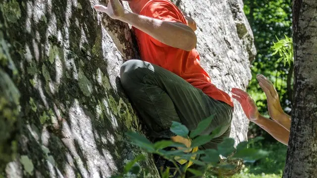 Des blocs pour tous niveaux