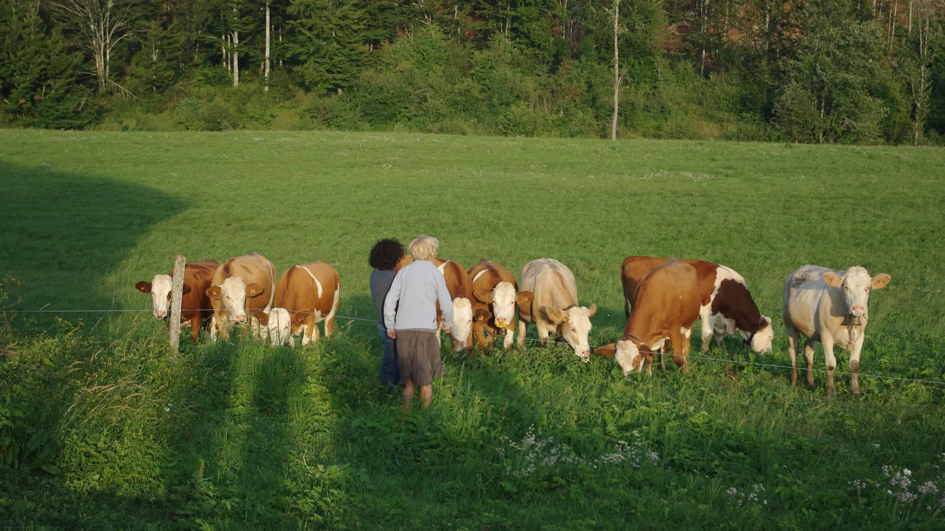 La Ferme des Taillis