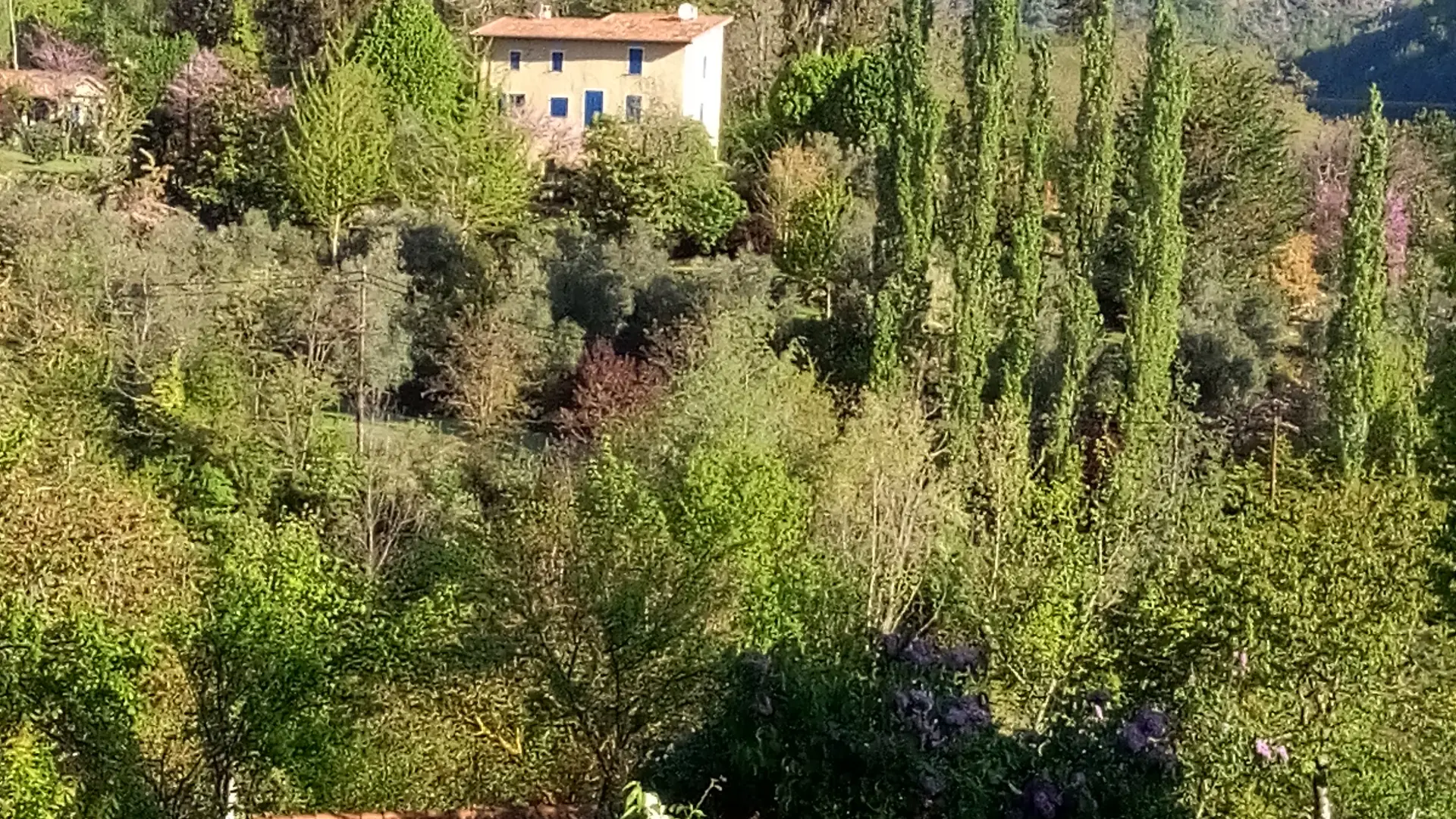 jolie vue de la cuisine