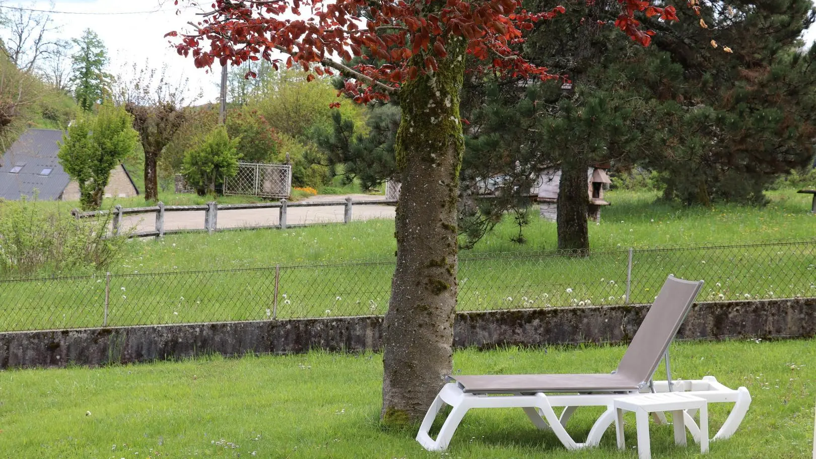 Ombre sous l'arbre