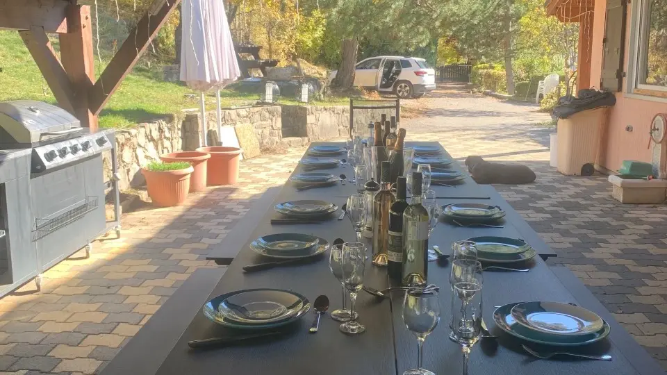 Abri avec barbecue, plancha et cuisine d'été