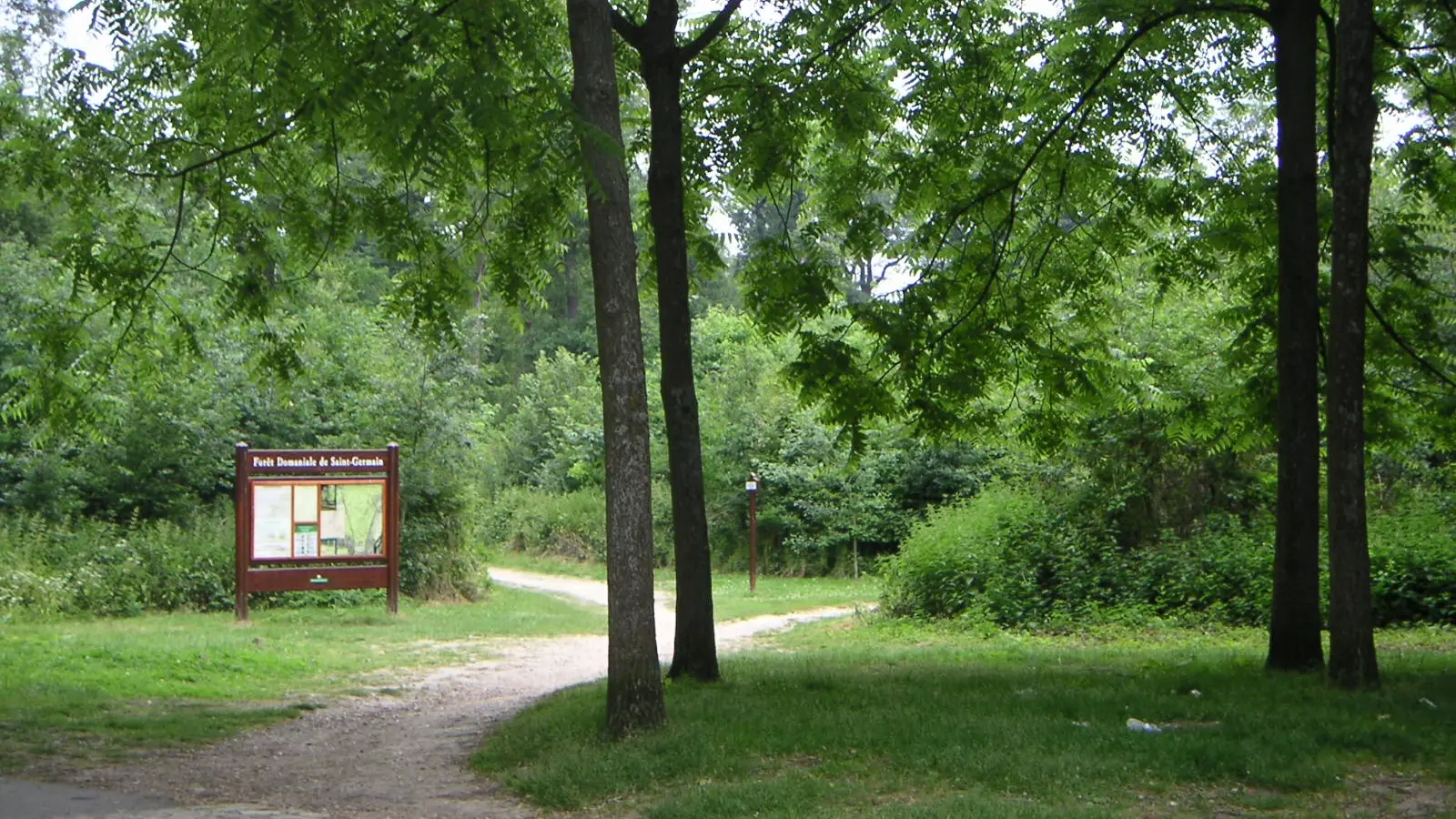 Forêt domaniale de Saint Germain