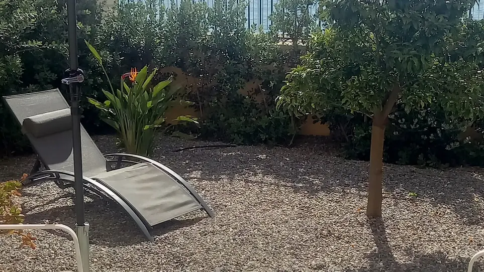 Jardin