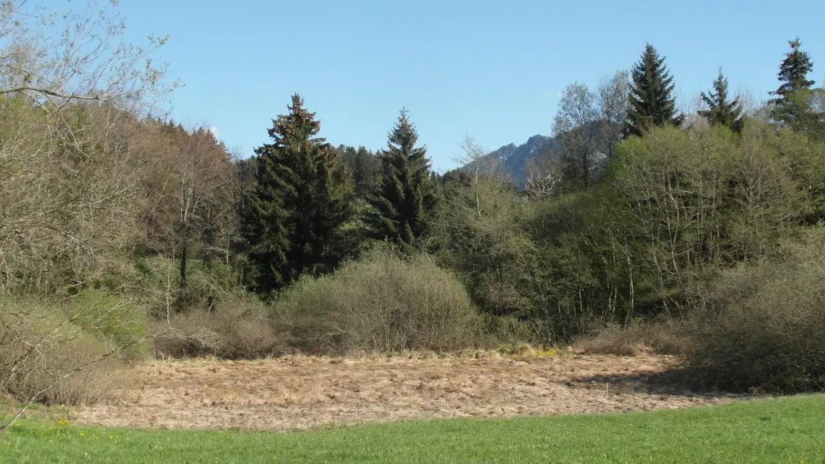 Zone humide du plateau de Gavot