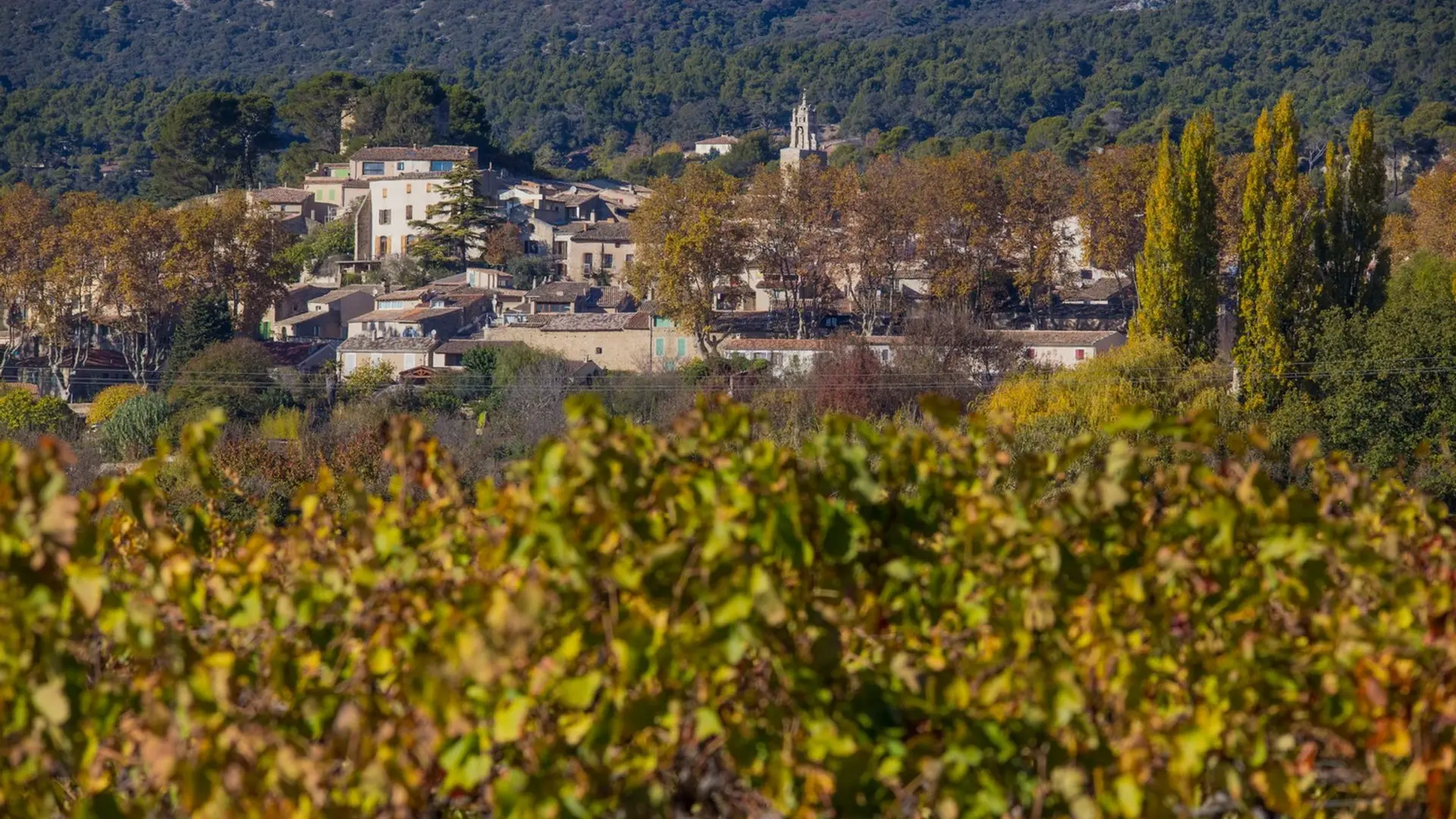 Vignes et village de Cucuron
