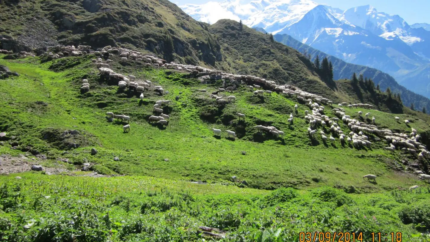 Photo touristique: L'alpage de Pormenaz