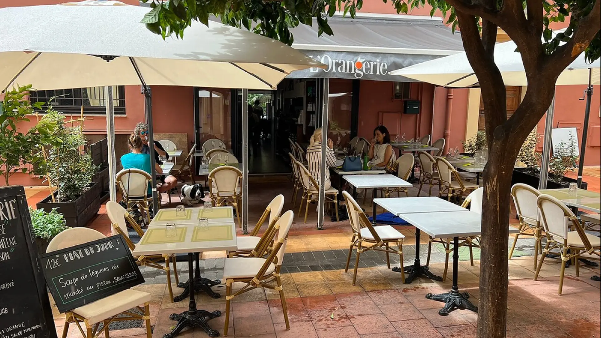 La terrasse