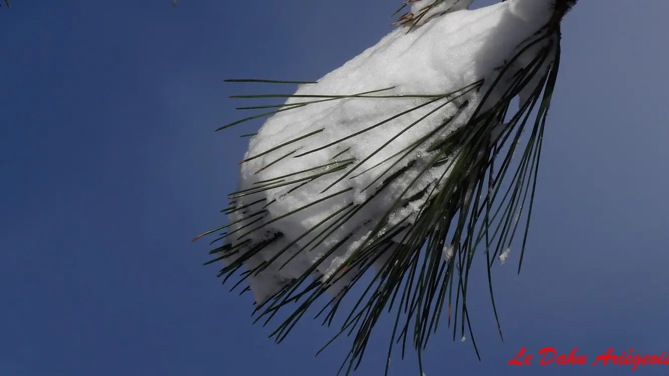 sorite pulka enfants