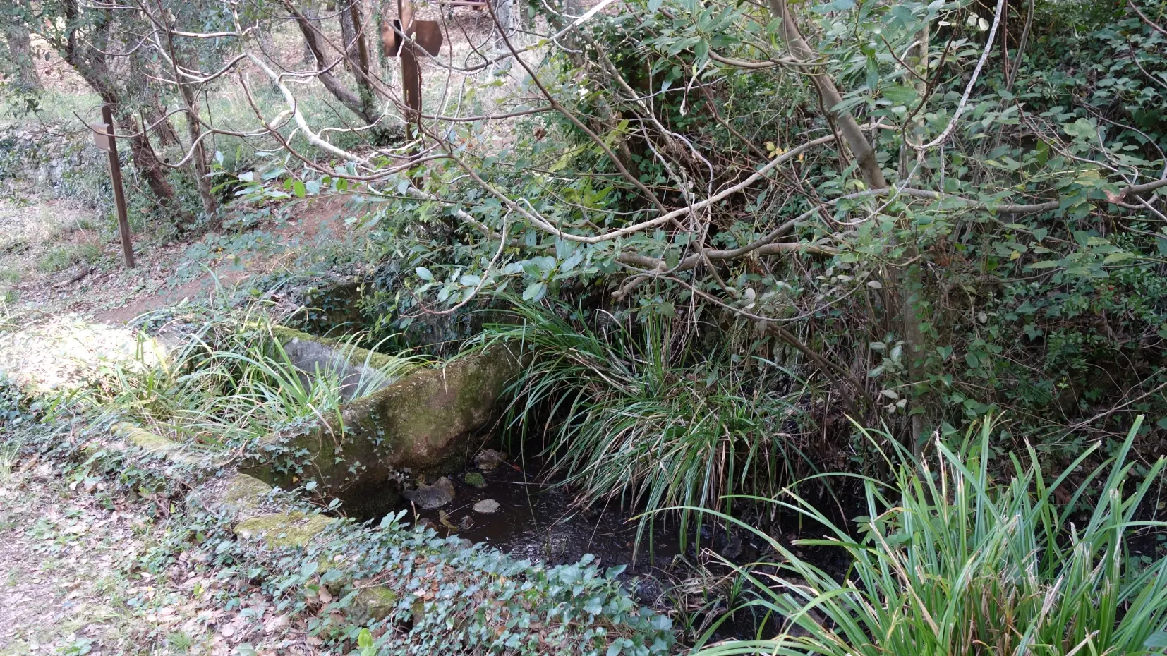 Lavoir et source de l'Arlatane