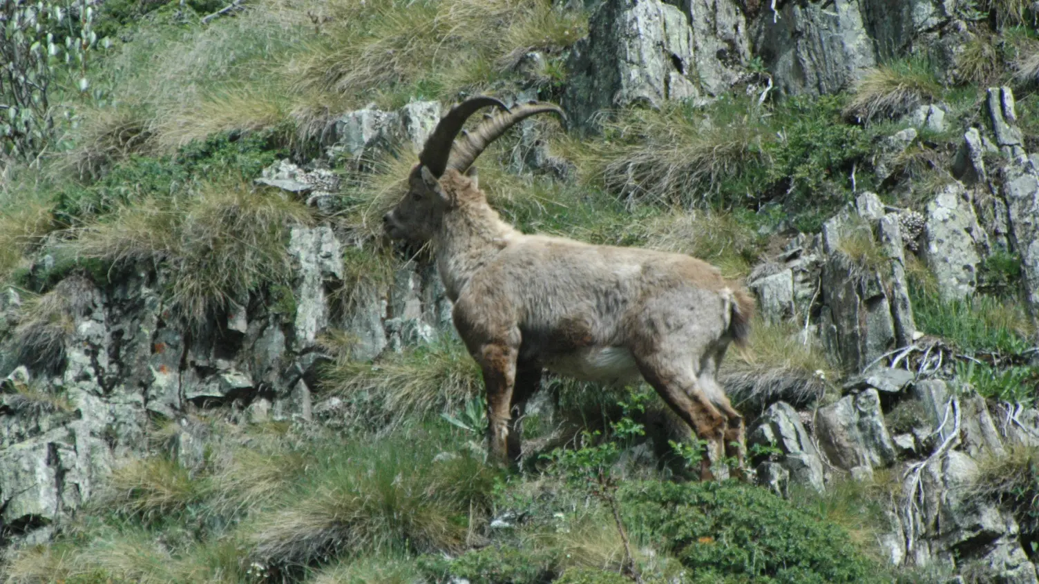 Randonnée avec Valgo Champsaur Sauvage