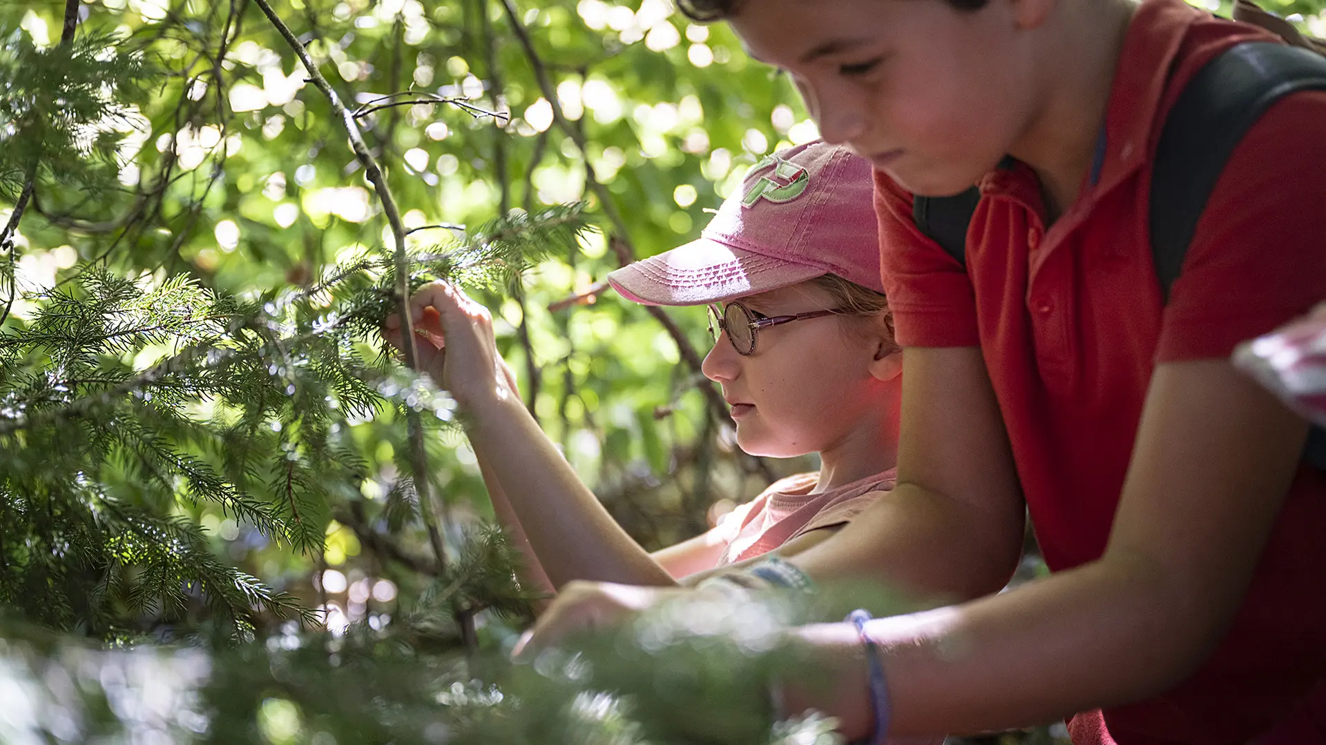 potion magique de Grandboramix