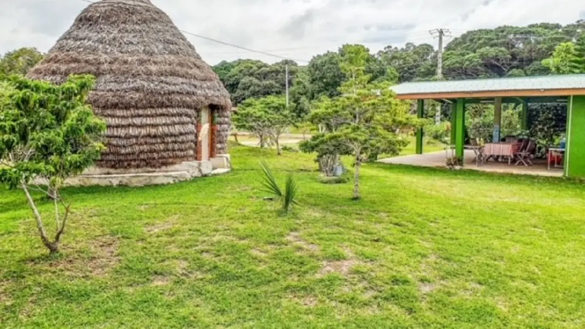 Thatched hut