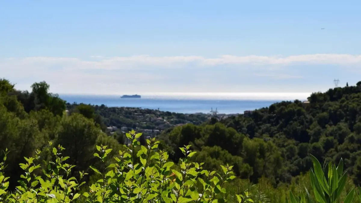 Vue Gîte Pamplemousse de St Paul de Vence - Gîtes de France Alpes-Maritimes