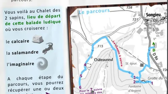 Histoires parallèles des 2 sapins