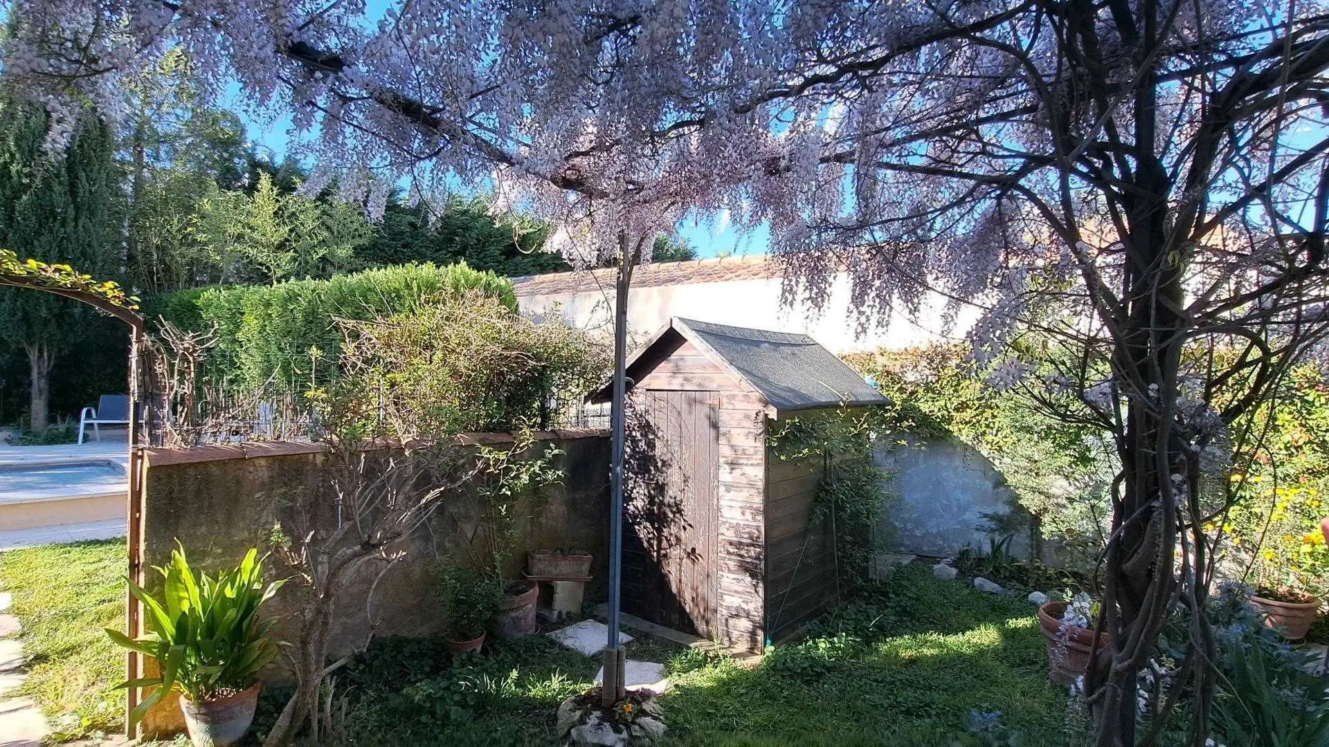 Accès à la piscine partagée de la terrasse sous la glycine  en fleurs