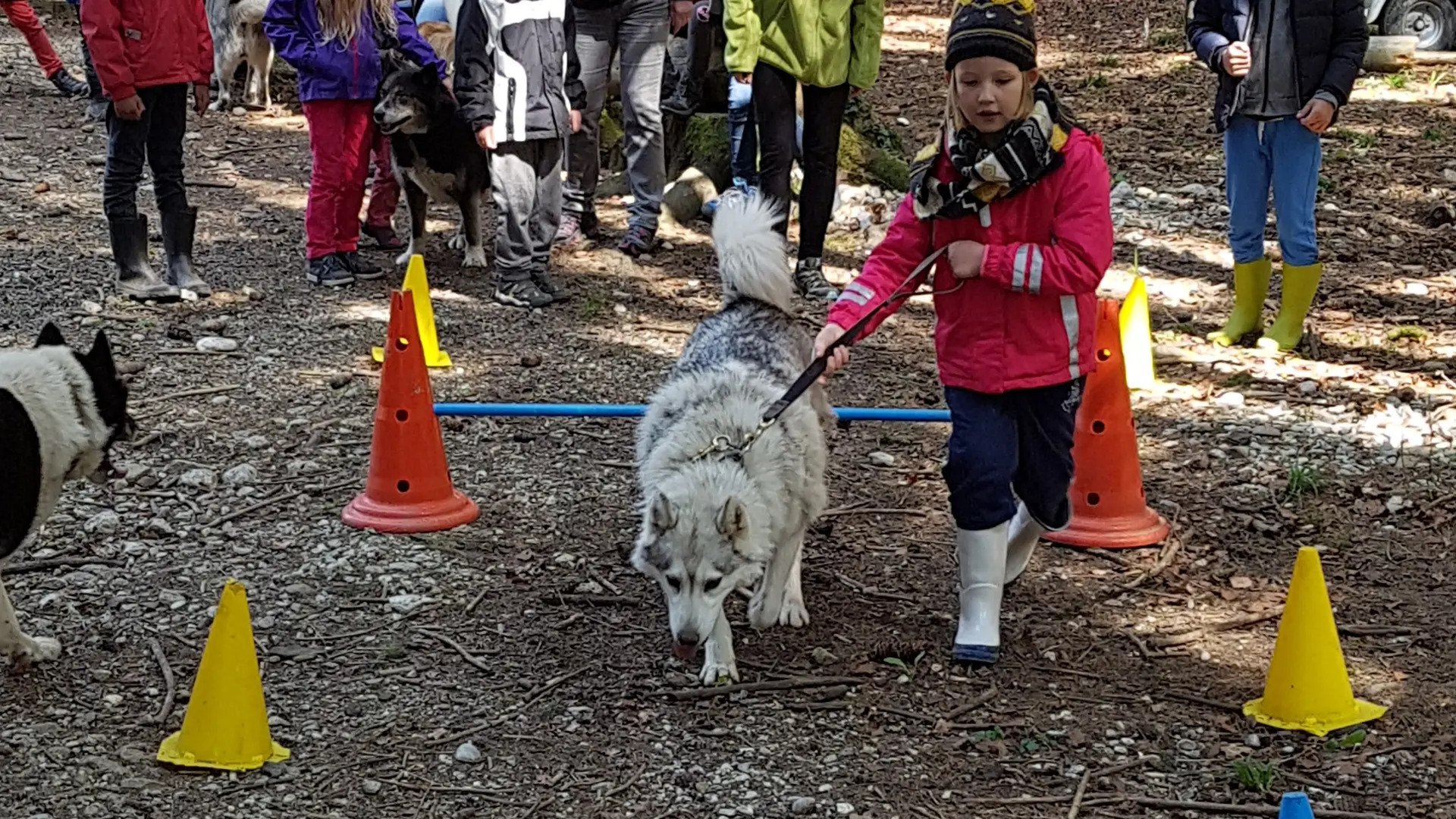 Les Ateliers du Parc Nordique - Agilty