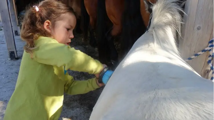 stage poney les écuries de corrençon