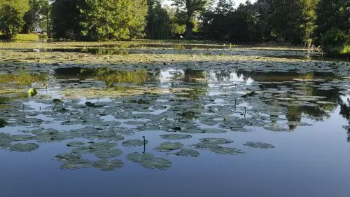 Plan d'eau Dompierre_Crédit C.Thieux (2)