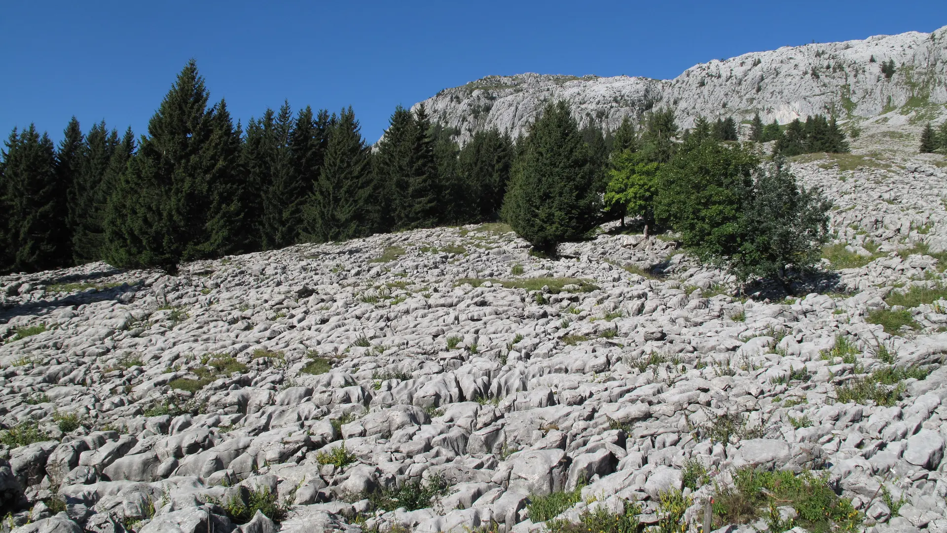 Lapiaz du Roc des Tours