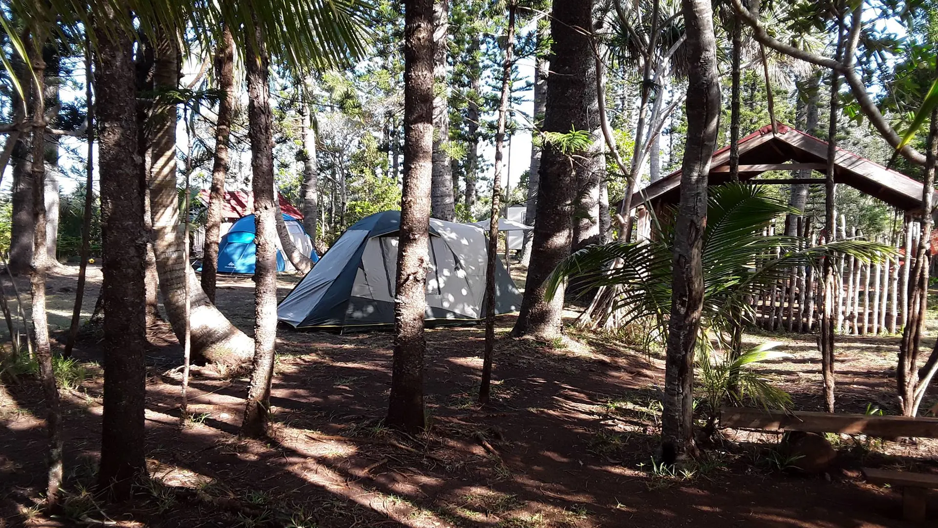 Un camping, à l'ombre des sapins et avec un accès direct à la somptueuse Baie de Port Boisé... quoi demander de plus ?