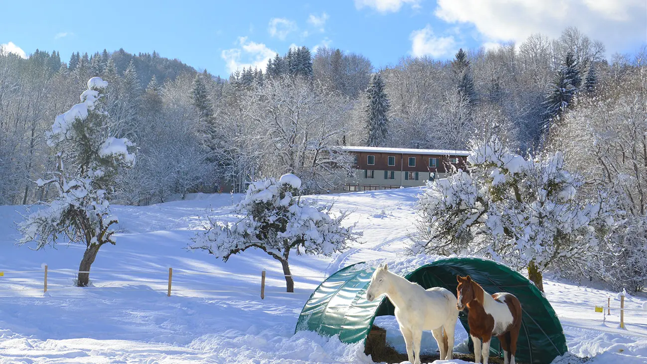 Chalet-coté-vallée
