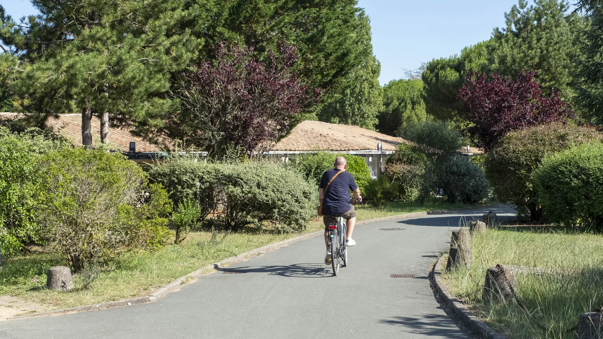 Allée des bungalows