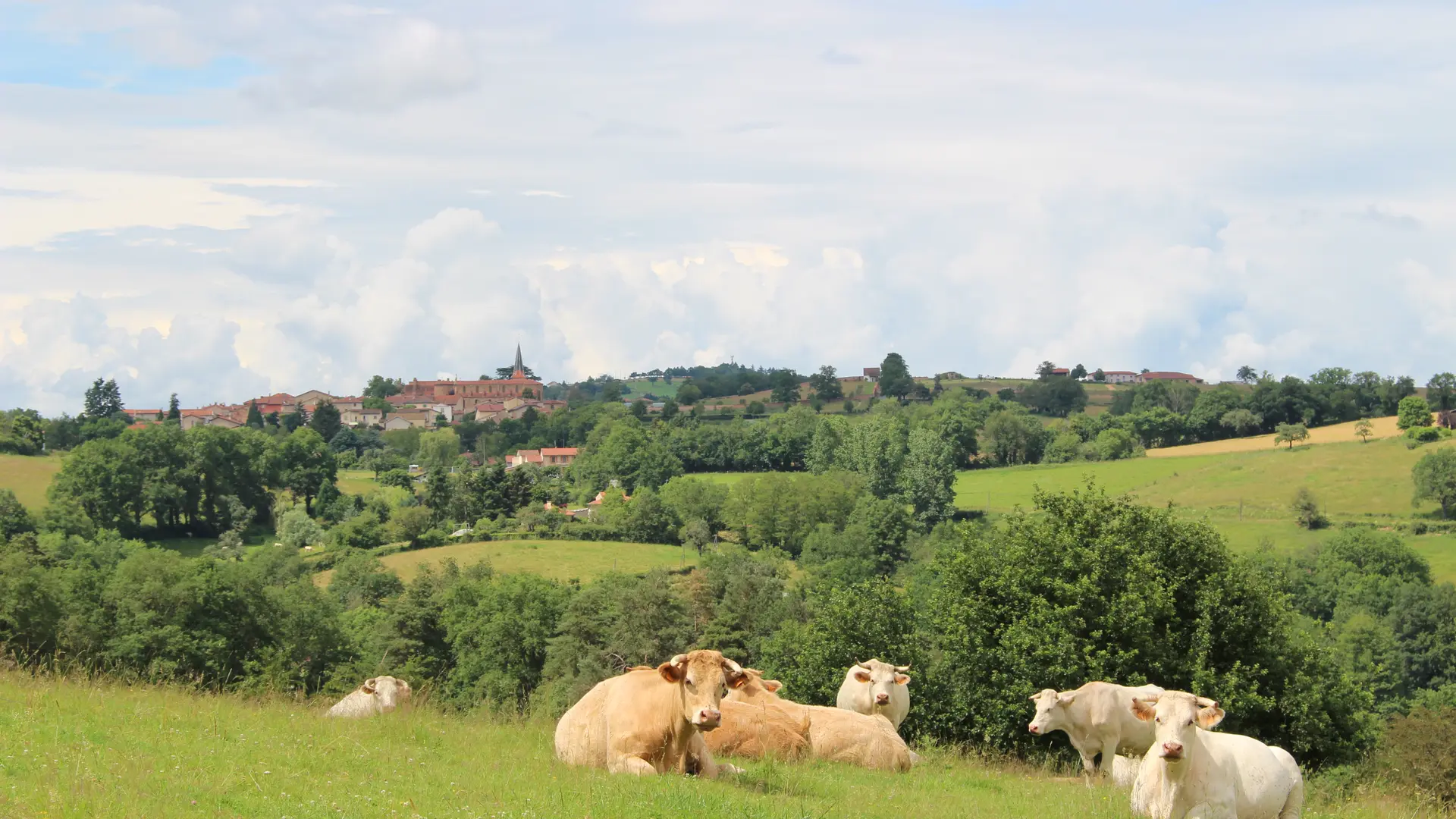 Vue panoramique sur les prairies