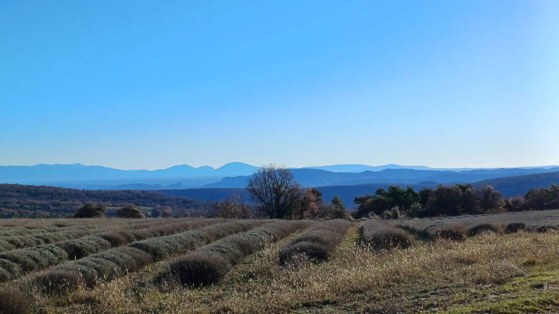 Vue sur le Luberon oriental depuis le plateau de Vachères (D14)