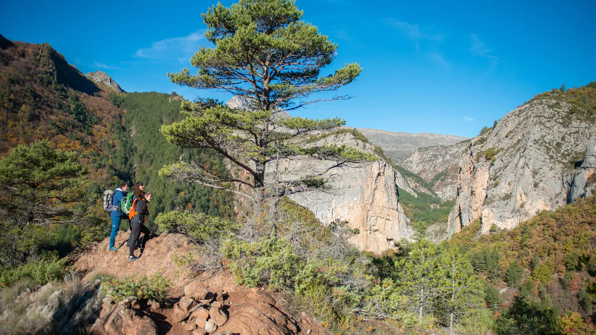 Vers les chemins d'art