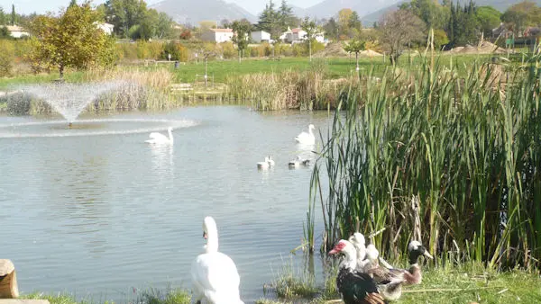 Mairie Malaucène - etang; pêche; Ventoux